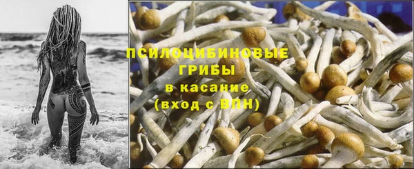ПСИЛОЦИБИНОВЫЕ ГРИБЫ Семилуки