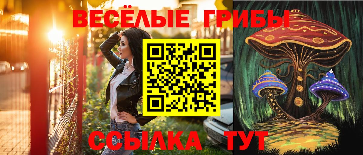 Галлюциногенные грибы мицелий Гагарин