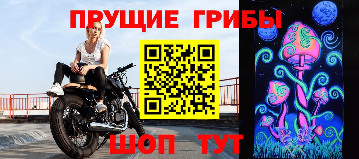 Гагарин  закладка  Вход с VPN  Галлюциногенные грибы мицелий 